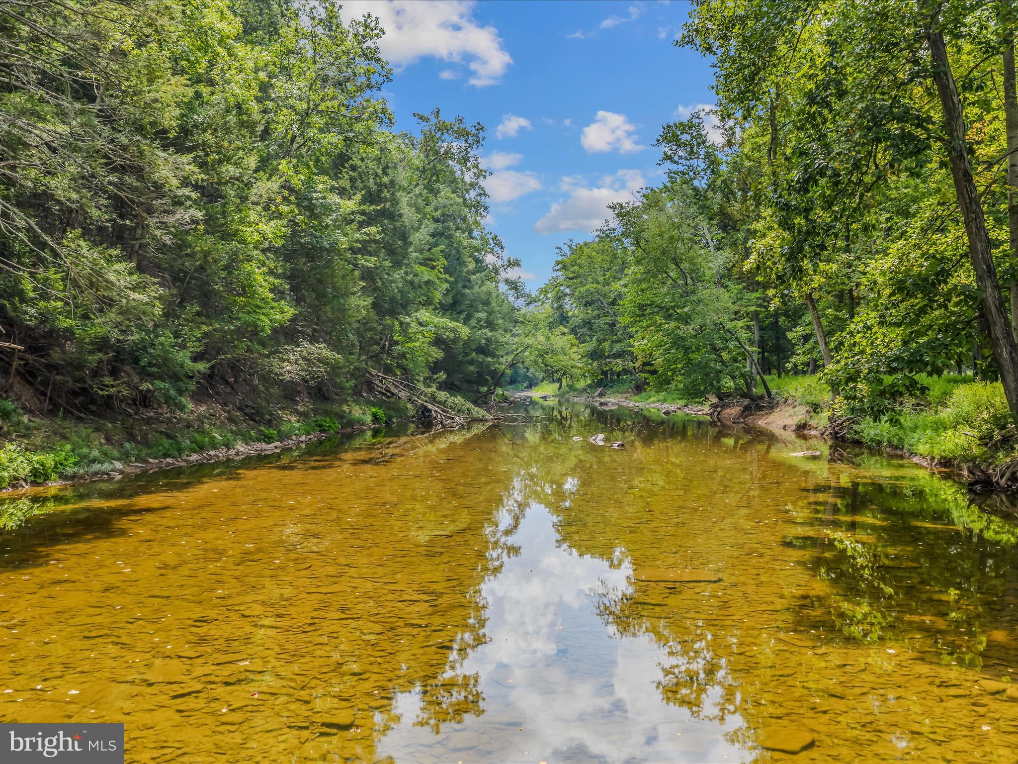 237 Foggy Bottom Lane Berkeley Springs, WV 25411 - Photo 59 of 105 Property on Sleepy Creek