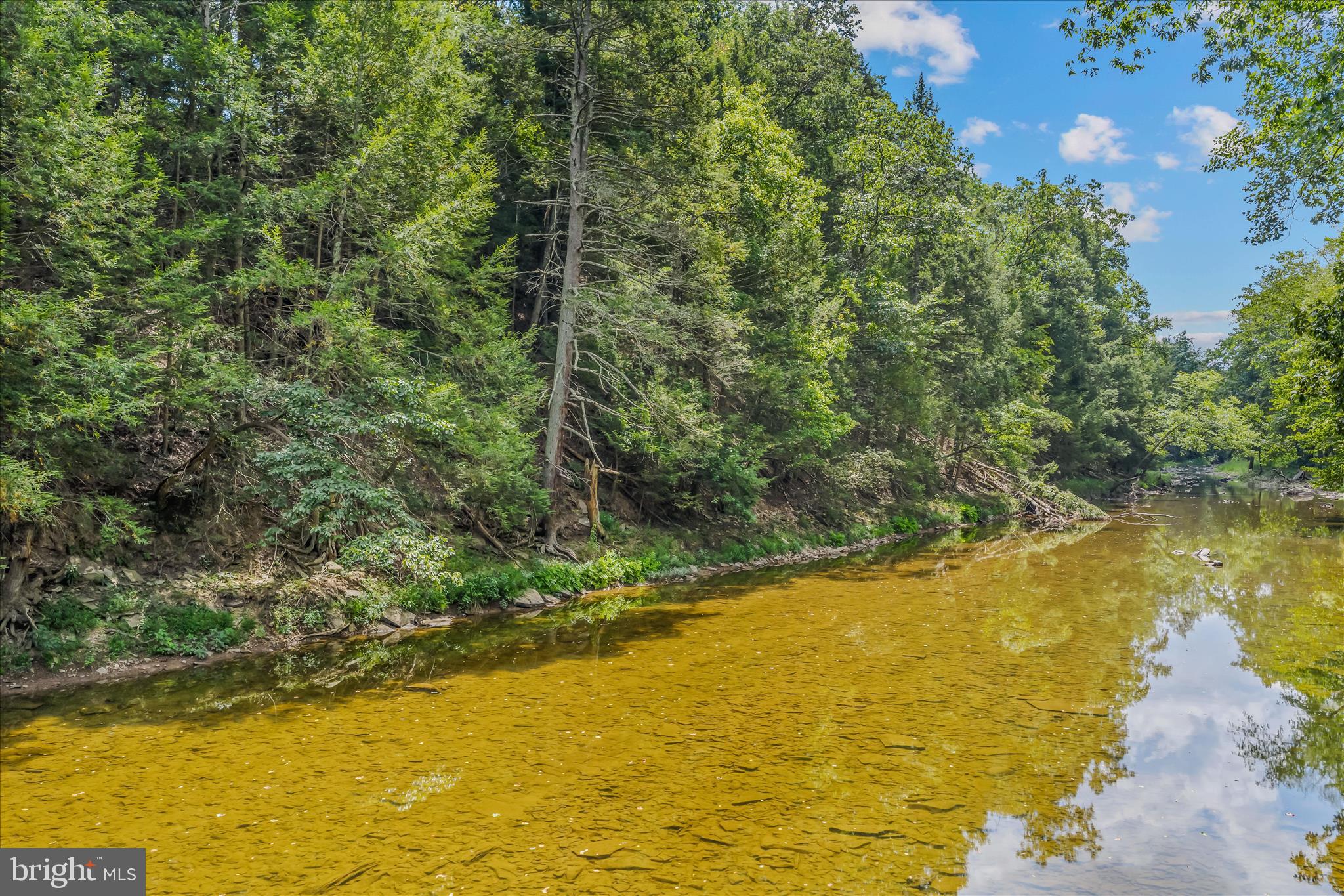 237 Foggy Bottom Lane Berkeley Springs, WV 25411 - Photo 66 of 105 Property on Sleepy Creek