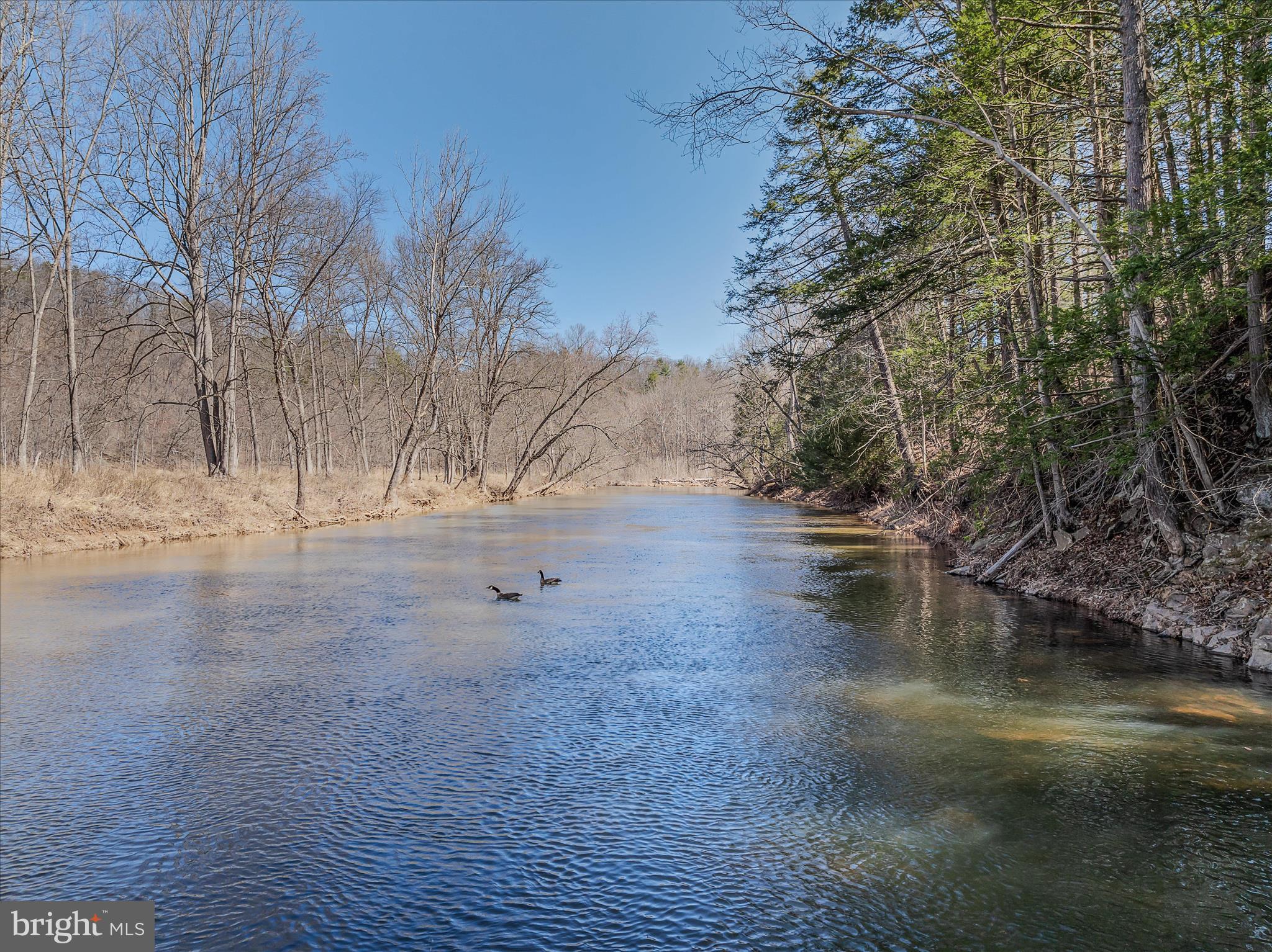 237 Foggy Bottom Lane Berkeley Springs, WV 25411 - Photo 70 of 105 Property on Sleepy Creek