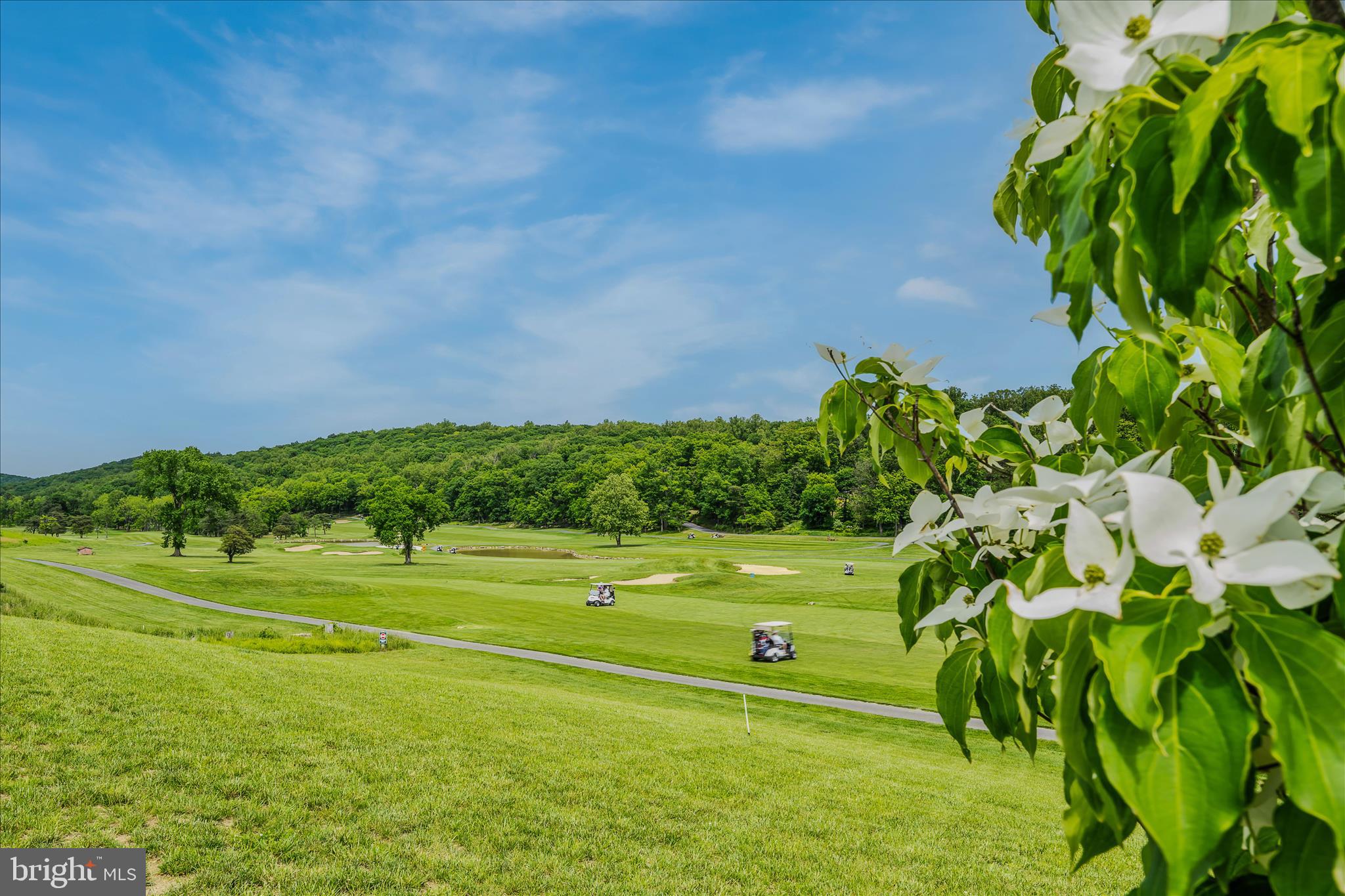 237 Foggy Bottom Lane Berkeley Springs, WV 25411 - Photo 90 of 105 Cacapon State Park