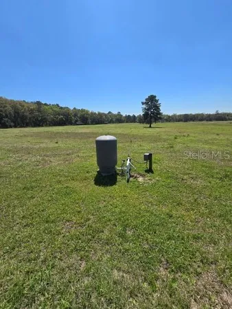 a view of a lake from a yard