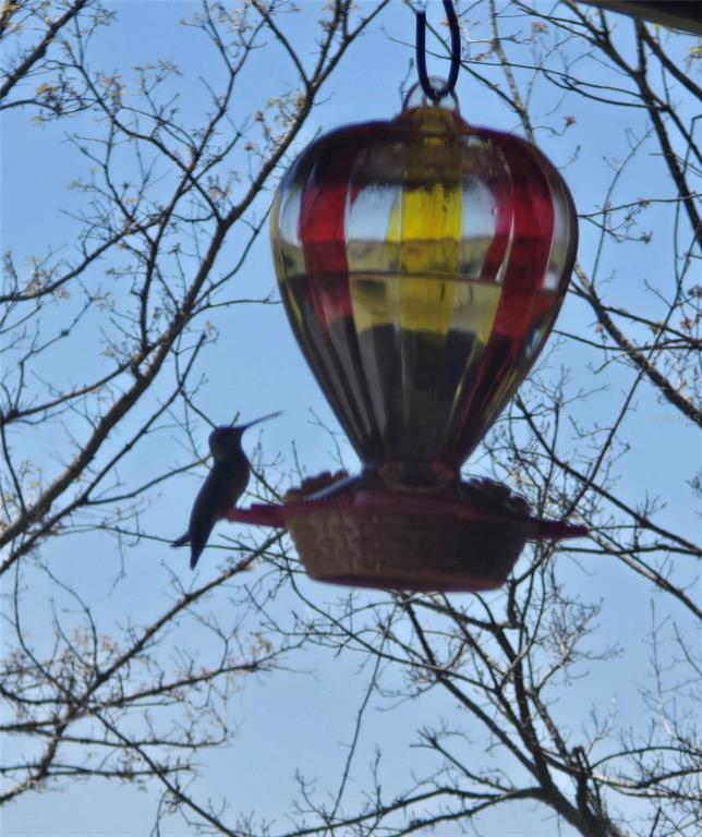 2 55th Place Wellborn, FL 32094 - Photo 21 of 24