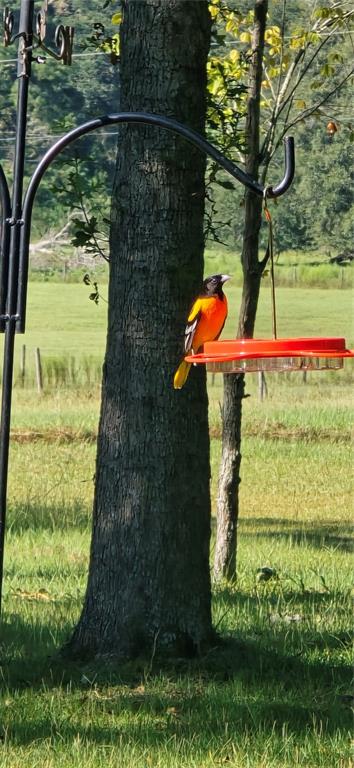 2 55th Place Wellborn, FL 32094 - Photo 22 of 24