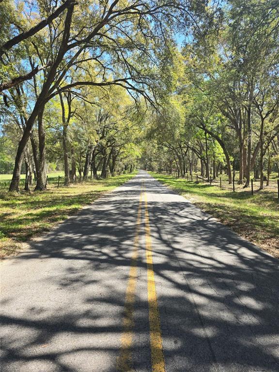 2 55th Place Wellborn, FL 32094 - Photo 4 of 24