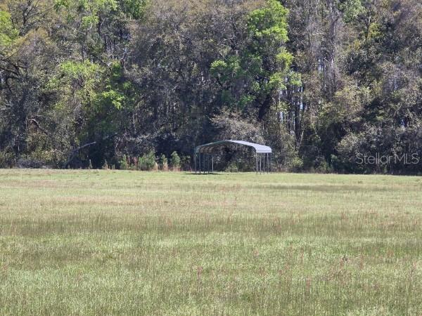 2 55th Place Wellborn, FL 32094 - Photo 8 of 24