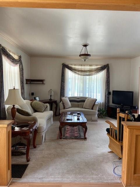 202 Terrace Avenue Apollo, PA 15613 - Photo 8 of 25