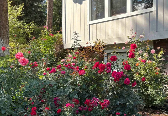 $495,000 | 11613 East 48th Avenue, Spokane Valley, WA 99206