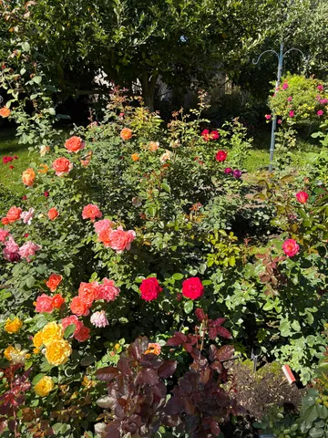 $495,000 | 11613 East 48th Avenue, Spokane Valley, WA 99206