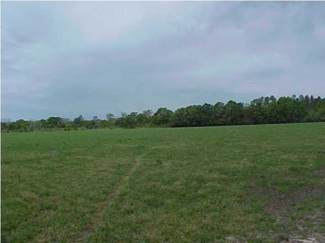 5221 Griffith Mill Road Baker, FL 32531 - Photo 3 of 4 a view of a field with an ocean and trees