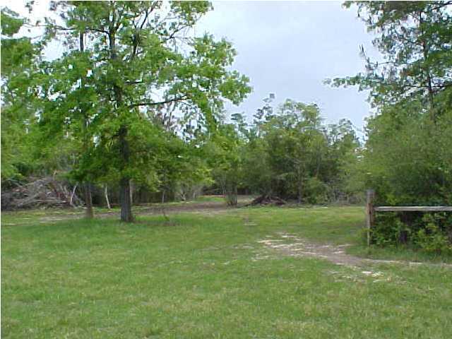 5221 Griffith Mill Road Baker, FL 32531 - Photo 4 of 4 a view of outdoor space with a big yard