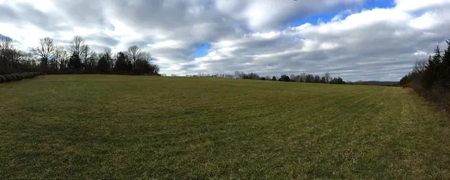 a view of a field with ocean