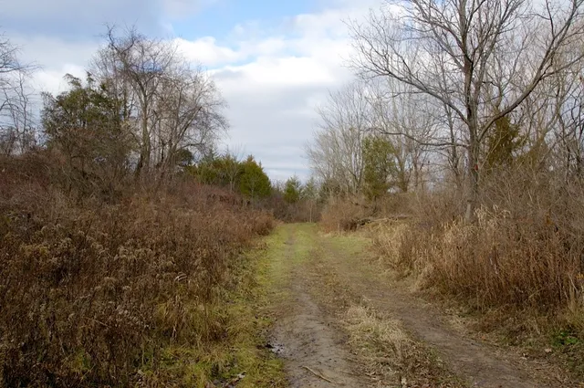 a view of a yard next to a building