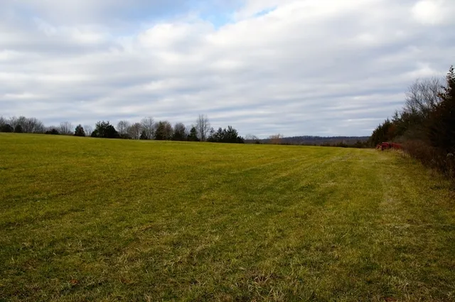 a view of an ocean from a yard
