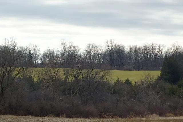 a view of a back yard