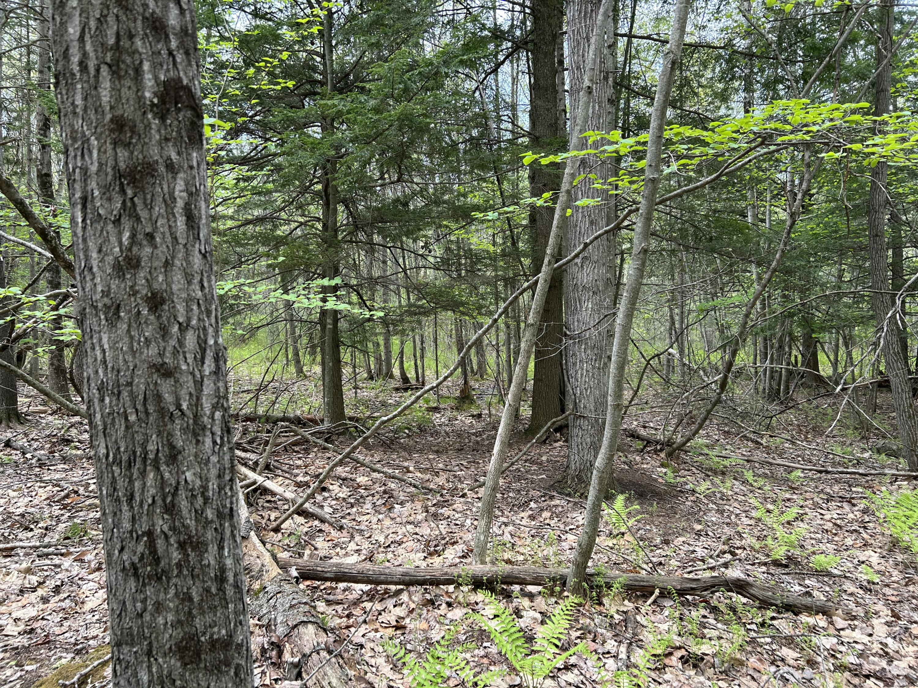 281 Randall Road Lewiston, ME 04240 - Photo 11 of 31