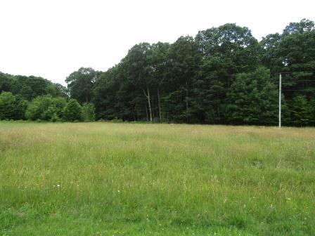Lot 1 Tionesta Road Tionesta, PA 16353 - Photo 1 of 4