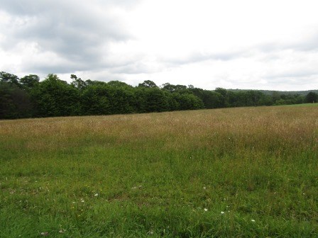 Lot 1 Tionesta Road Tionesta, PA 16353 - Photo 2 of 4