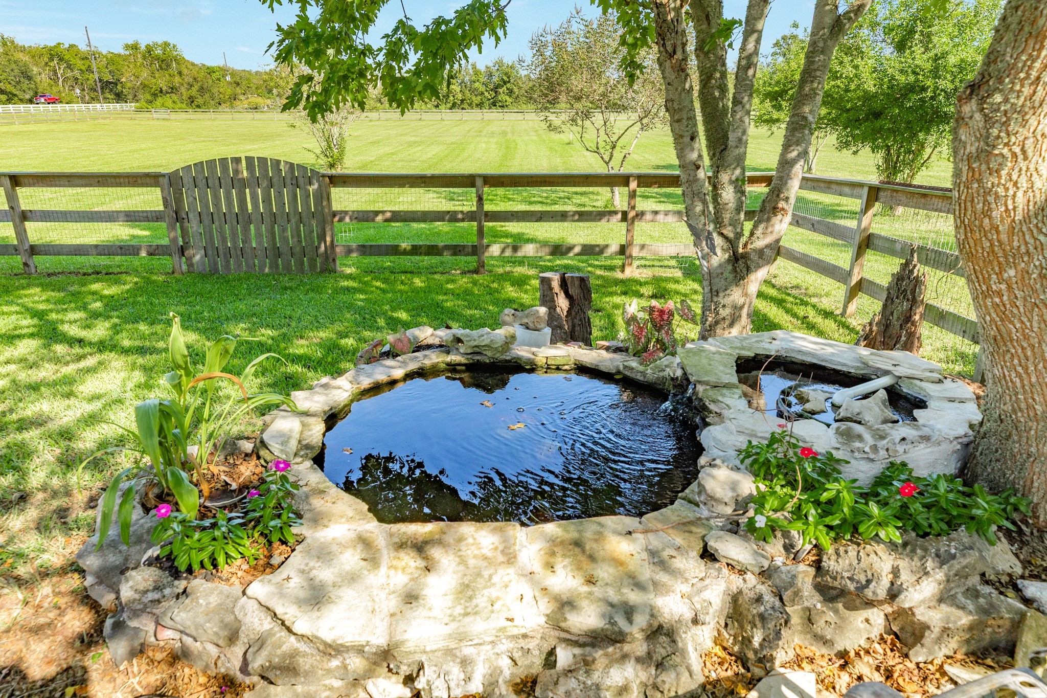 16211 Tankersley Drive Rosharon, TX 77583 - Photo 10 of 46 a view of a garden with an outdoor space