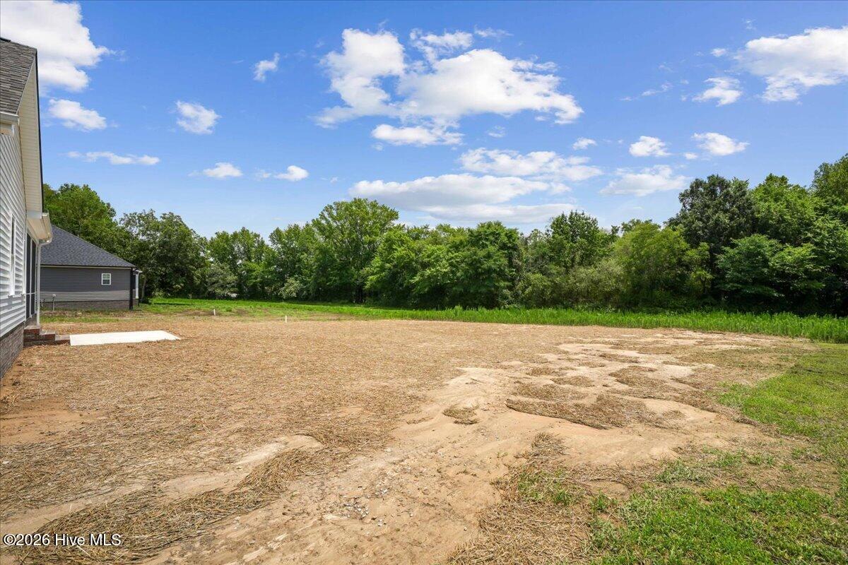 7345 Hill Road Spring Hope, NC 27882 - Photo 37 of 38