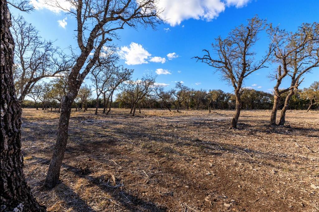 S3660 Lot 91 Seven Springs Ranch Junction Junction, TX 76849 - Photo 15 of 15 a view of outdoor space with lots of trees