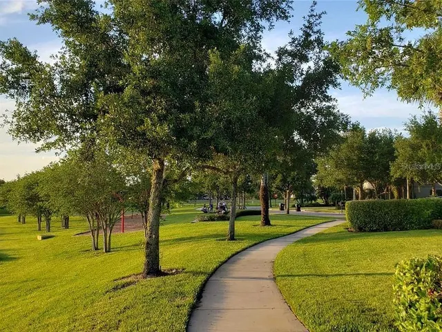 a view of a park with large trees