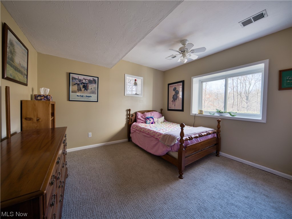 13730 Sperry Road Novelty, OH 44072 - Photo 18 of 31 Bedroom with ceiling fan and carpet flooring