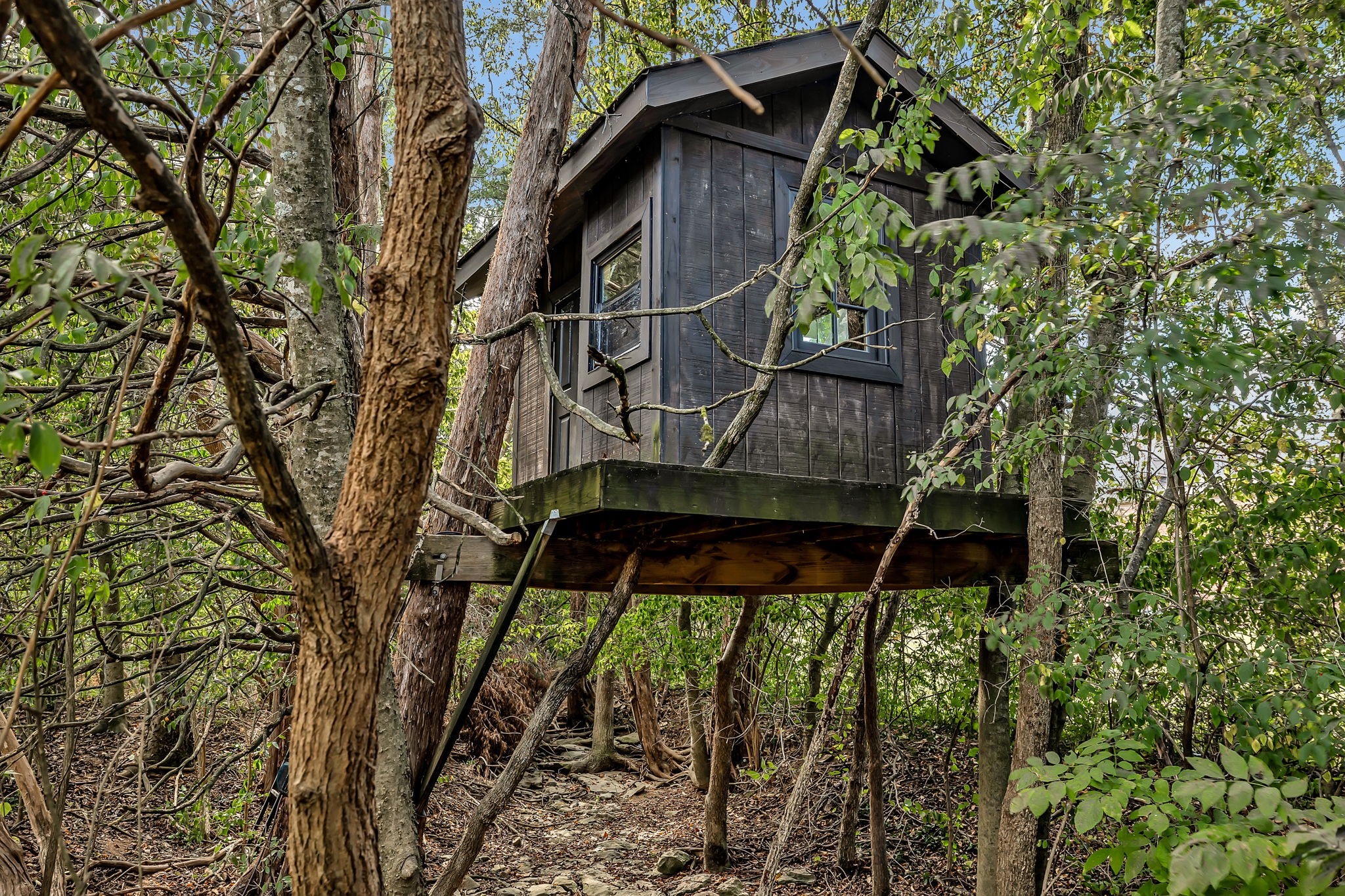 2829 Polo Club Road Nashville, TN 37221 - Photo 35 of 45 a view of balcony with a tree