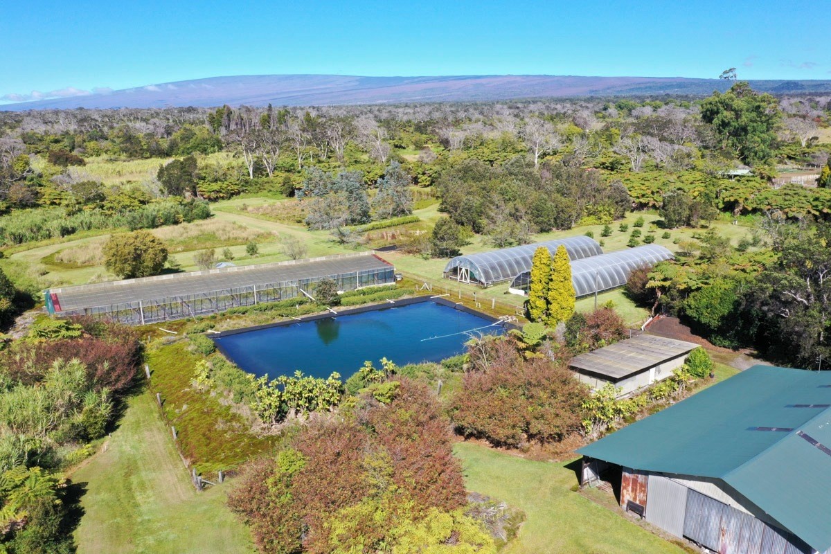 19-4631 Amaumau Road Volcano, HI 96785 - Photo 23 of 30 Gallery Image 23