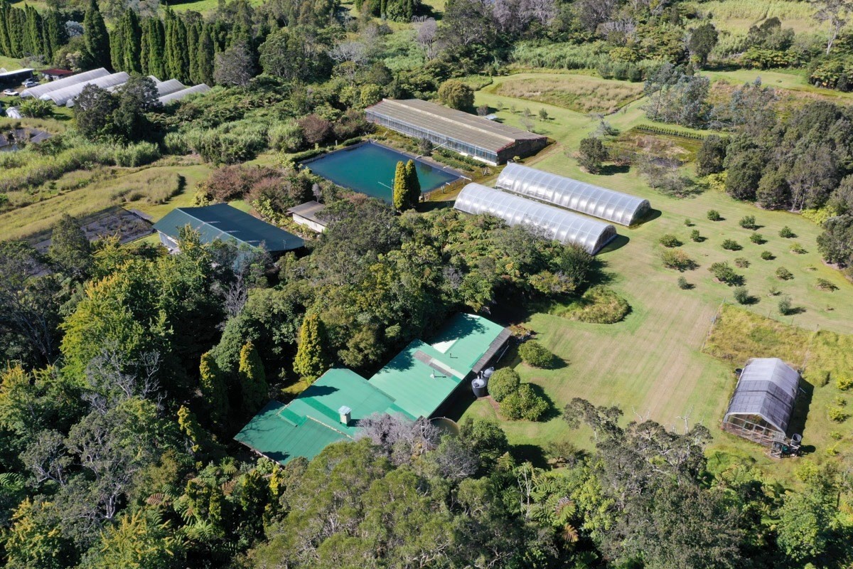 19-4631 Amaumau Road Volcano, HI 96785 - Photo 3 of 30 Gallery Image 3
