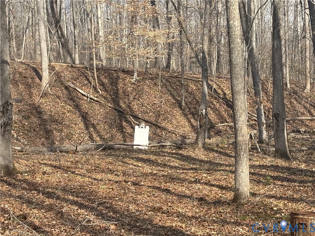 4308 A Three Bridge Road Powhatan, VA 23139 - Photo 71 of 76 NATURAL GUN RANGE AREA ON THE LARGE PARCEL
