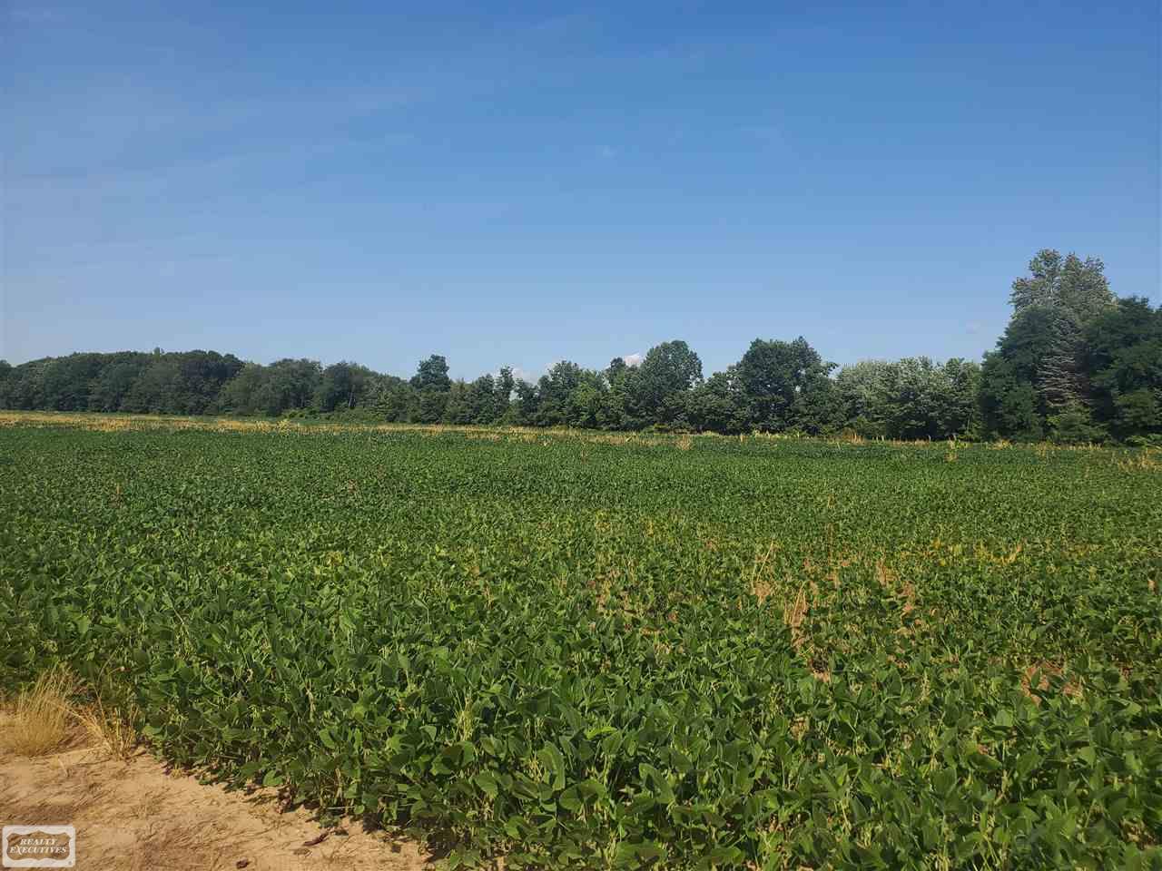31 31 Mile Road New Haven, MI 48050 - Photo 10 of 10