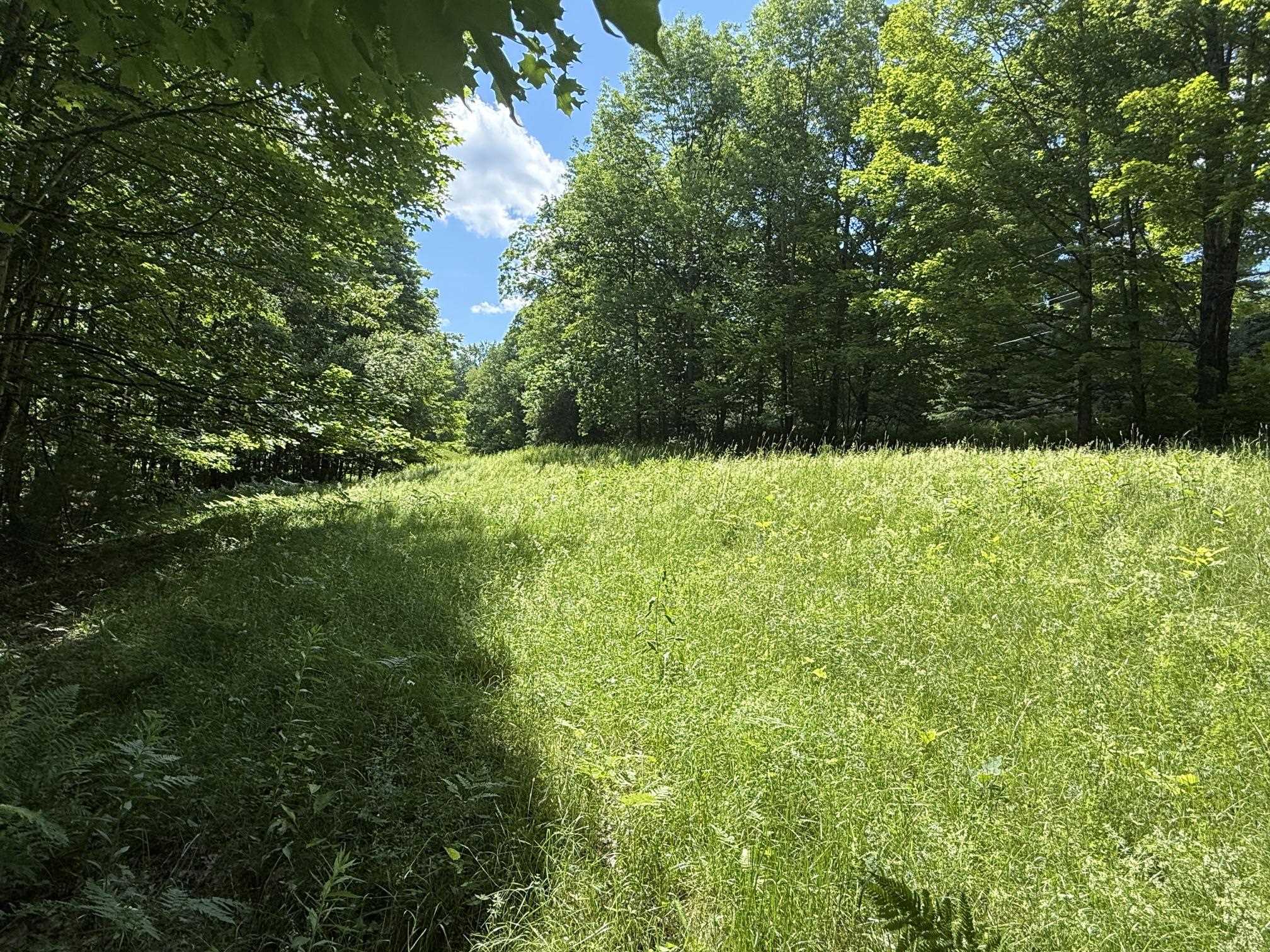 On Daniels Farm Road Waterford, VT 05819 - Photo 7 of 17