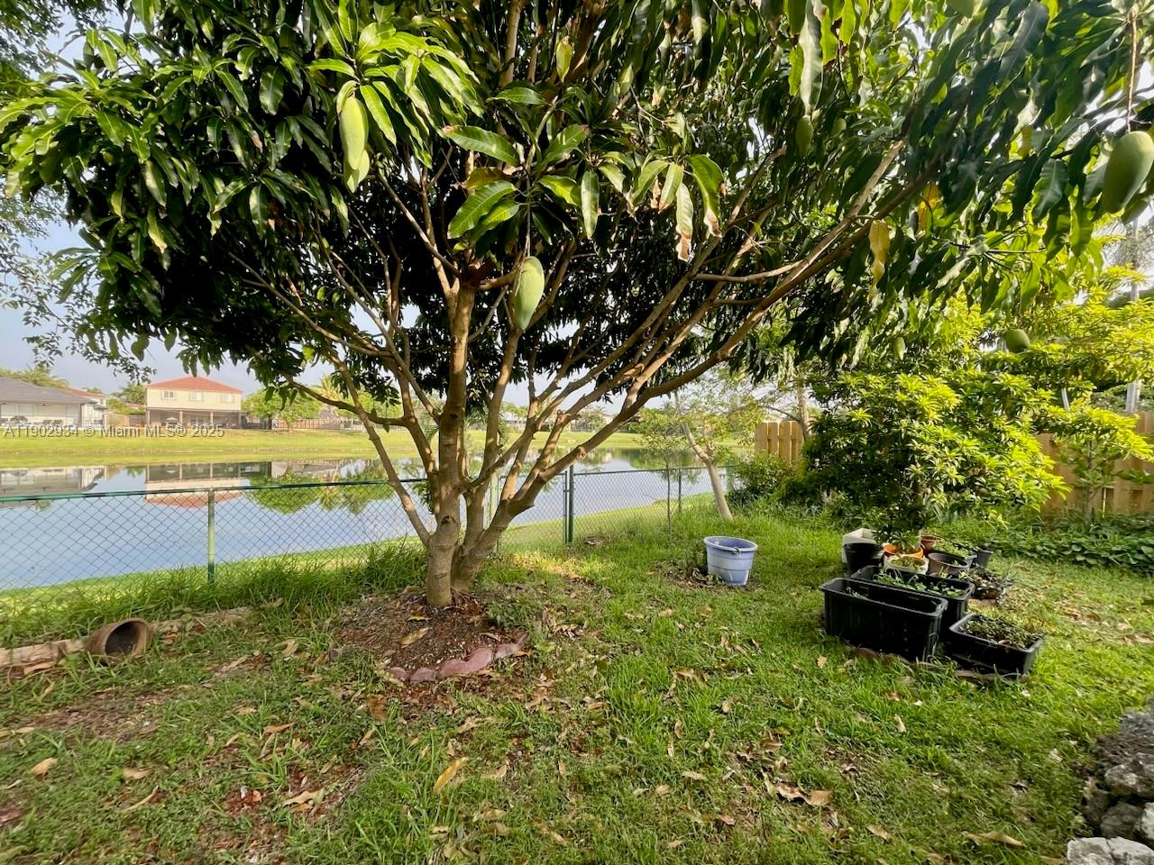 21316 Southwest 87th Place Cutler Bay, FL 33189 - Photo 13 of 14 a view of yard with green space