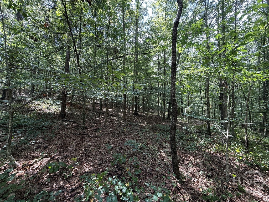 1276 Winns Lake Road Comer, GA 30629 - Photo 6 of 37