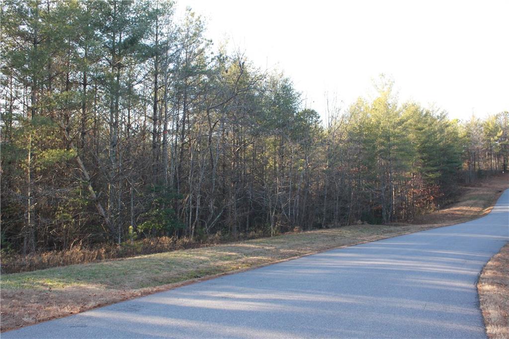 6080 Collette Ridge Circle, Unit 101 Collettsville, NC 28611 - Photo 4 of 12 Gallery Image 4