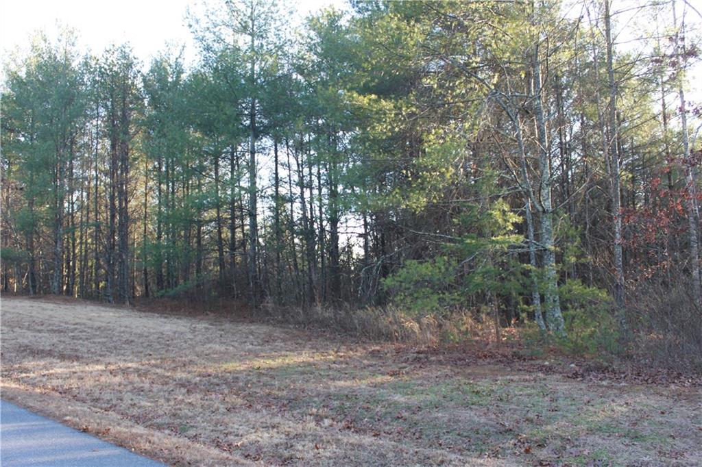 6080 Collette Ridge Circle, Unit 101 Collettsville, NC 28611 - Photo 5 of 12 Gallery Image 5