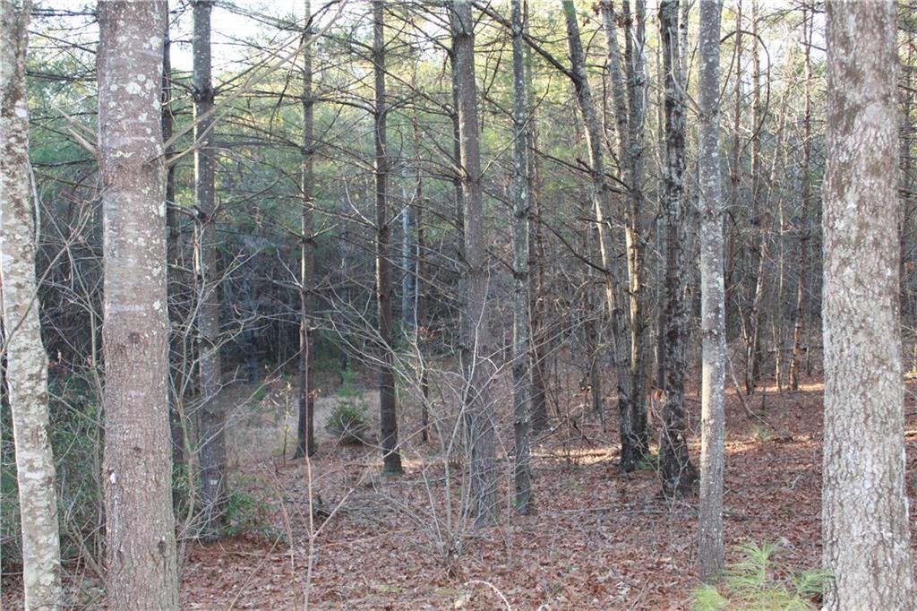 6080 Collette Ridge Circle, Unit 101 Collettsville, NC 28611 - Photo 6 of 12 Gallery Image 6