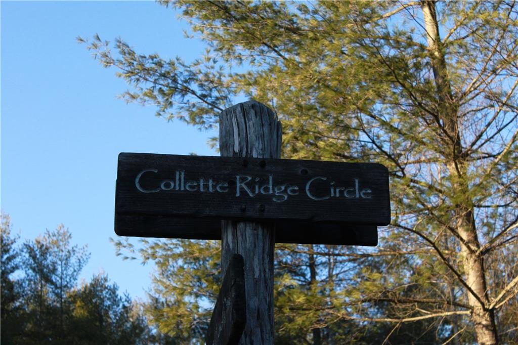 6080 Collette Ridge Circle, Unit 101 Collettsville, NC 28611 - Photo 7 of 12 Gallery Image 7