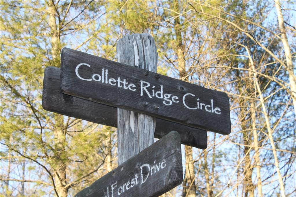 6080 Collette Ridge Circle, Unit 101 Collettsville, NC 28611 - Photo 8 of 12 Gallery Image 8