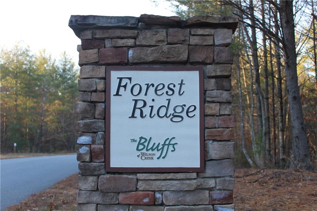 6080 Collette Ridge Circle, Unit 101 Collettsville, NC 28611 - Photo 10 of 12 Gallery Image 10