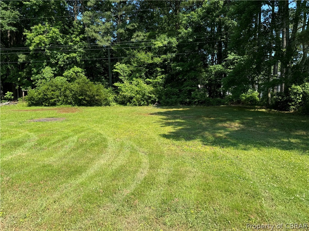 204 Pine Hall Road Mathews, VA 23109 - Photo 28 of 29 View of yard, 0.82 acres.