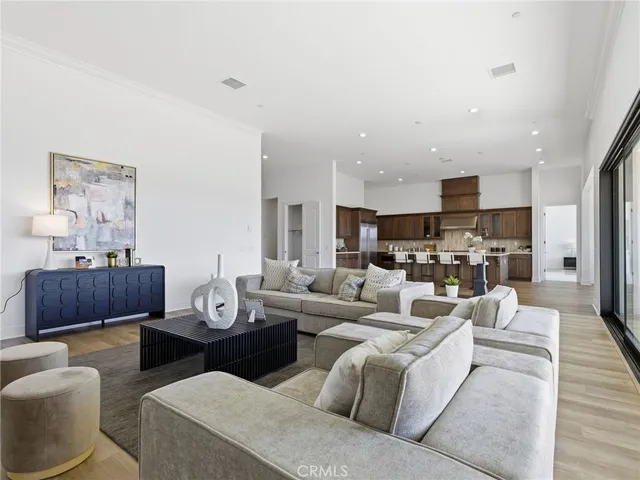 a living room with furniture kitchen view and a potted plant
