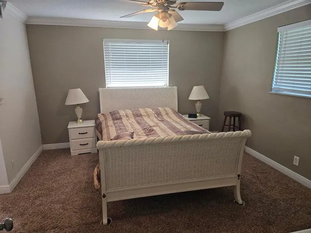 a living room with a bed furniture and a window