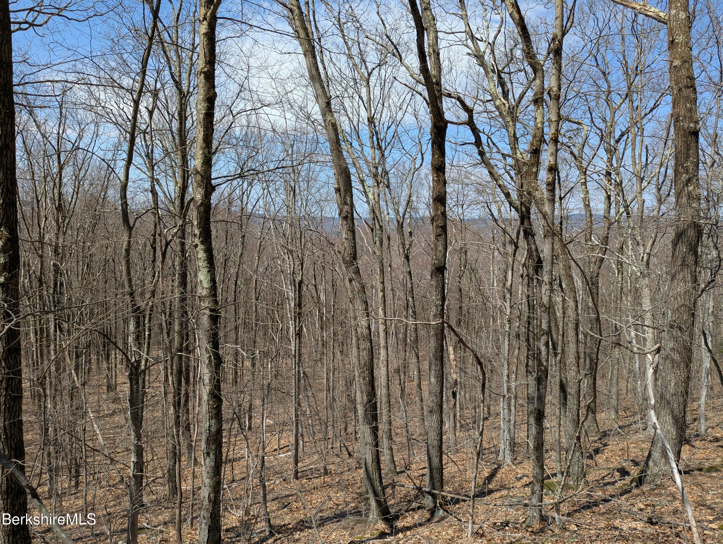 0 Lenox Road West Stockbridge, MA 01266 - Photo 3 of 3 a view of forest