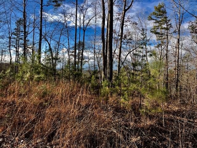 E/side Little Crowe Creek Road Pickens, SC 29671 - Photo 2 of 6 Gallery Image 2