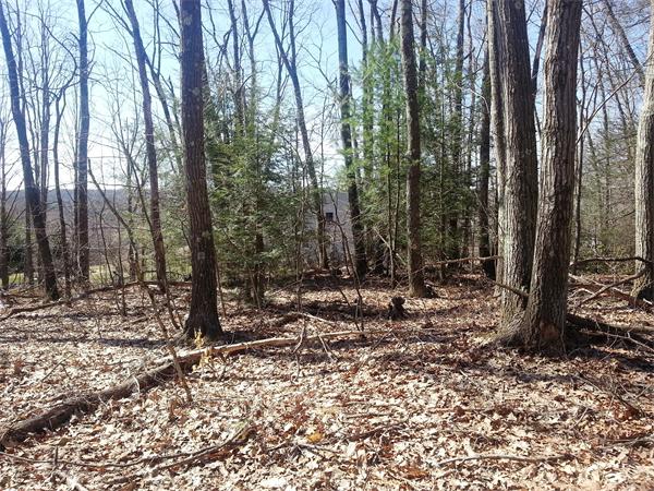 Lot A Marcy Road Holland, MA 01521 - Photo 4 of 6