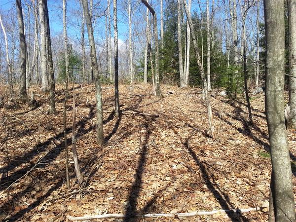 Lot A Marcy Road Holland, MA 01521 - Photo 5 of 6