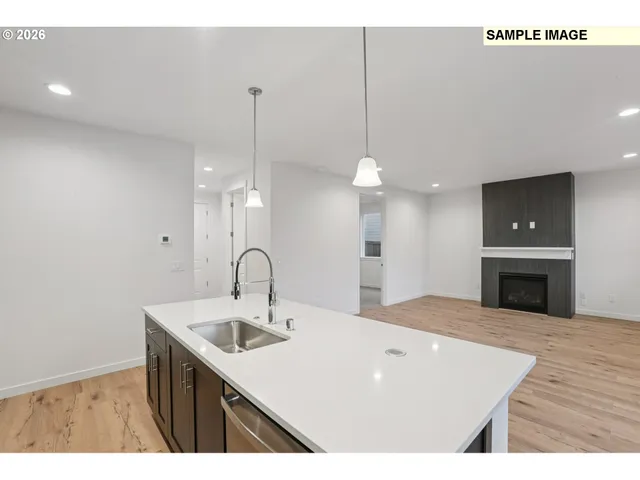 a kitchen with a sink a counter space and a fireplace
