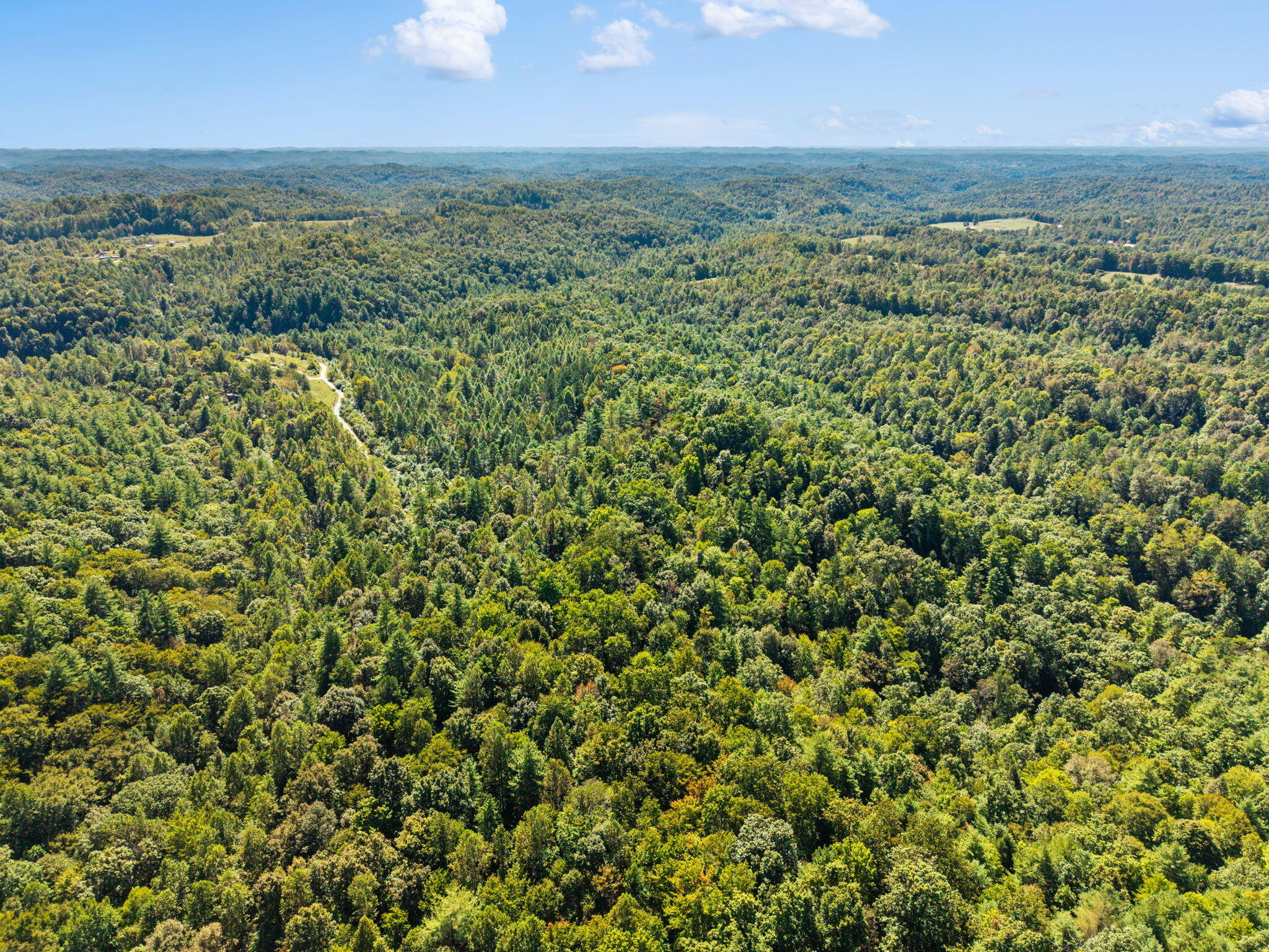 859 Bethesda Mission Road Campton, KY 41301 - Photo 53 of 60 22-web-or-mls-DJI_20260929133517_0058_D