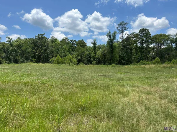 $79,900 | Tbd Tbd Pintail Street, Springfield, LA 70462